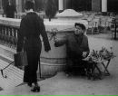 Bayram Bayramm фотография #43 (источник - https://vk.com/id164847277)