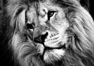 Фотография Китова Игоря