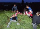 Віка Мартін фотография #31 (источник - https://vk.com/id62712934)
