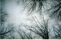 Орест Хміль фотография #5 (источник - https://vk.com/id2081992)