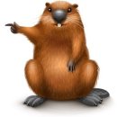 Дмитрий Иванов фотография #18 (источник - https://vk.com/id35666334)