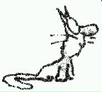 Фотография Гильфанд Олег