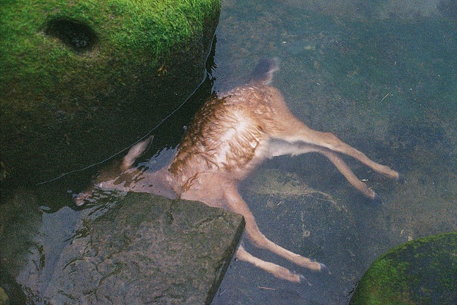 Михаил Бех фотография #14