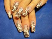 Фотография Шмельковой Ирины