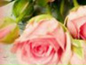 Іра Мушенко фотография #29 (источник - https://vk.com/id20281692)