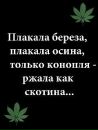 Андрій Шафран фотография #19 (источник - https://vk.com/id113229625)