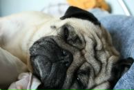 Фотография Федоровой Анны