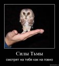 Евгений Васильев фотография #48 (источник - https://vk.com/id146436378)