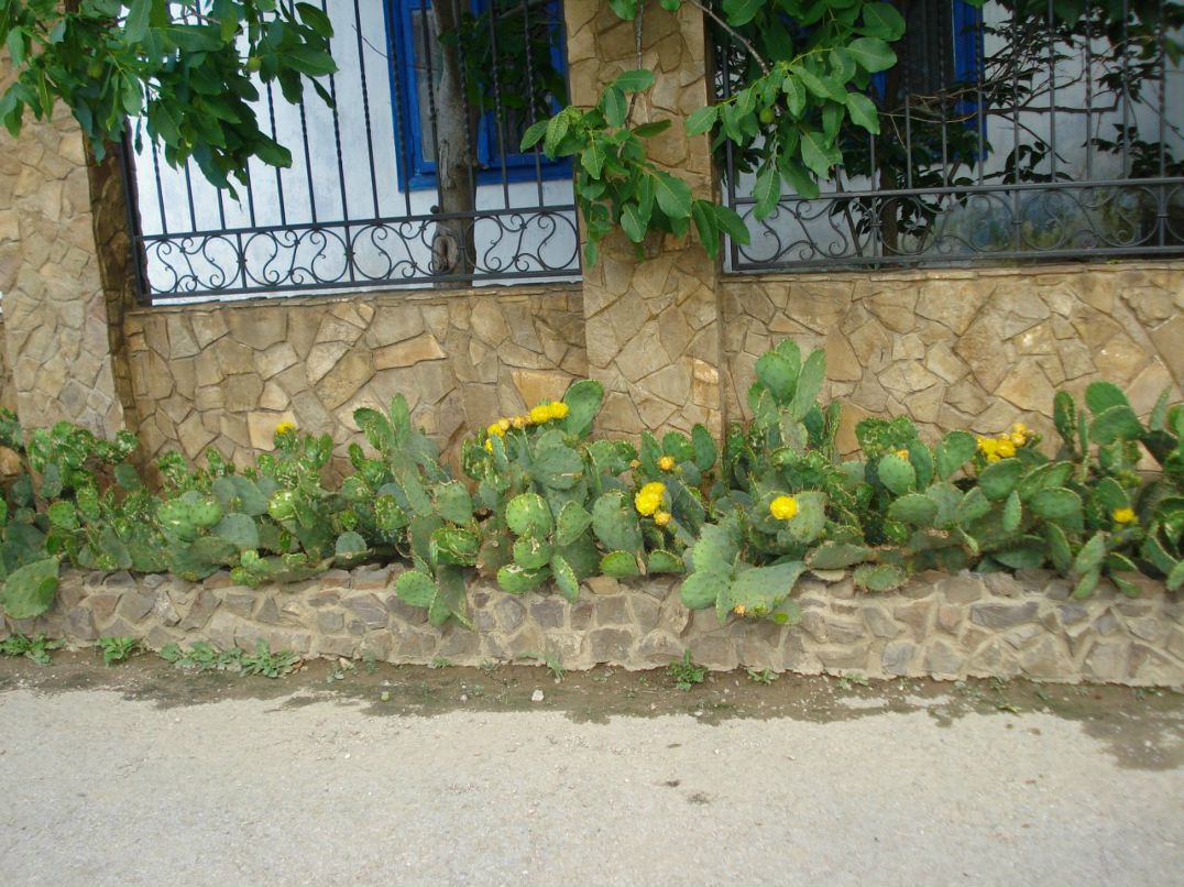 Викуля Дедичева фотография #24