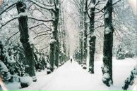 Іра Мельник фотография #47 (источник - https://vk.com/id61640996)