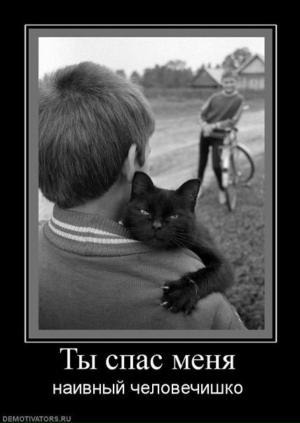 Александр Перепелицын фото №16