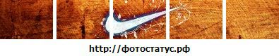 Володя Колос фотография #22 (источник - https://vk.com/id132462020)