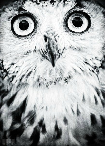 №11, Настя Карачевцева №11, Настя Карачевцева