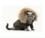 Фотография Ефимовой Иры