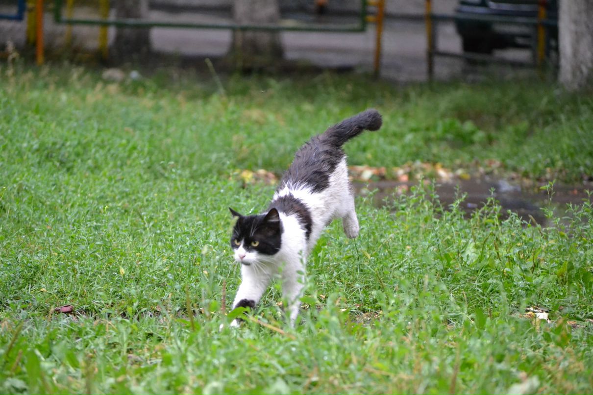 Константин Басалаев фотография #41