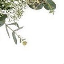 Танюша Ляпіна фотография #44 (источник - https://vk.com/id78496789)