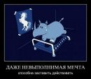 Даниїл Сівак фотография #9 (источник - https://vk.com/id112114676)