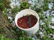 Константин Костин фотография #45 (источник - https://vk.com/id4100683)