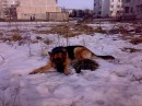 Назар Болібрух фотография #23 (источник - https://vk.com/id19097186)