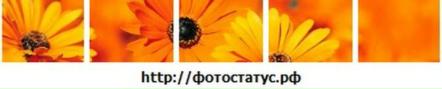 Вероніка Федишин фотография #26 (источник - https://vk.com/id45959990)