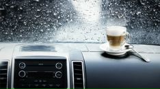 Фотография Соколова Семена