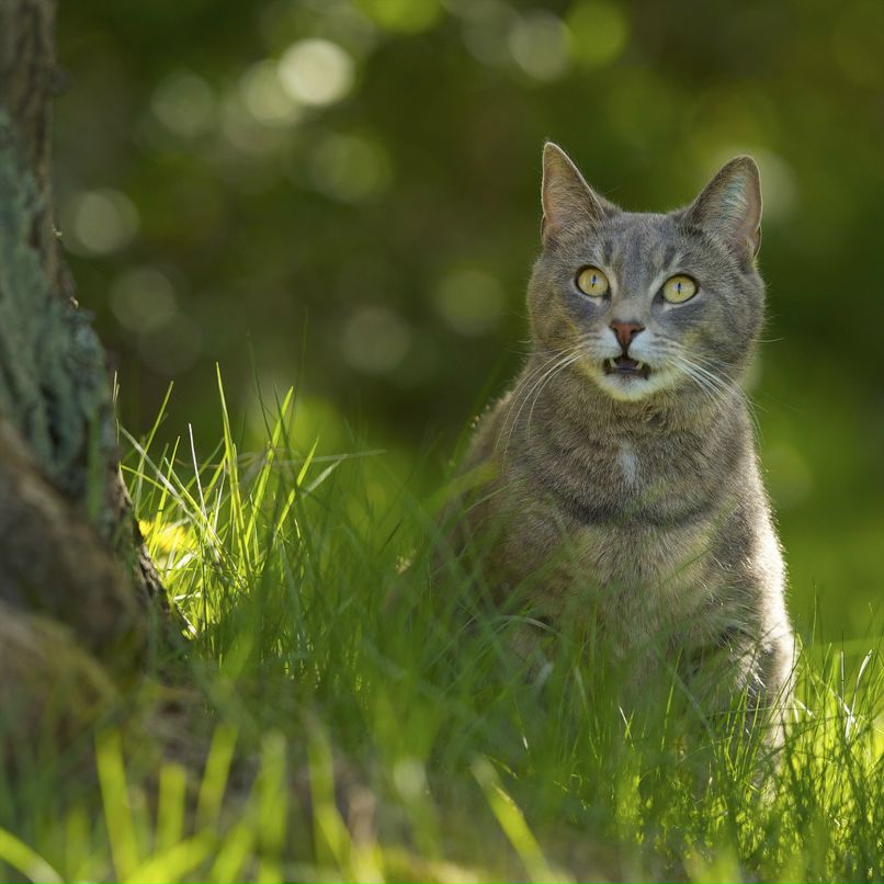 Надя Ka фотография #45