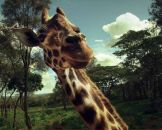 Денис Крижанівський фотография #27 (источник - https://vk.com/id74023552)