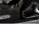 Каролінка Ман фотография #45 (источник - https://vk.com/id145816300)