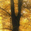 Жанна Щічко фотография #42 (источник - https://vk.com/id133268671)