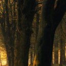 Жанна Щічко фотография #37 (источник - https://vk.com/id133268671)