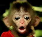 Фотография Kiegechev Kirill