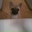 Фотография Майоровой Полины