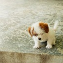 Віка Мадяр фотография #30 (источник - https://vk.com/id159495785)