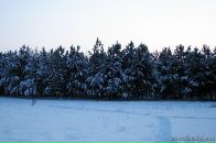 Олег Скуйбіда фотография #41 (источник - https://vk.com/id41536667)