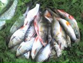 Сергей Репьёв фотография #6 (источник - https://vk.com/id4484013)