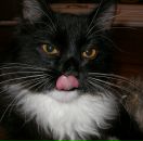 Фотография Трошевой Алёны