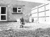 Amida Ferdon фотография #8 (источник - https://vk.com/id58710127)