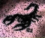 Фотография Ластовского Алексея