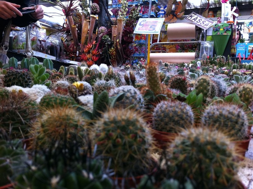 Эльдар Марков фотография #13