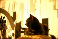 Фотография Совы Ольги