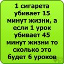 Илья Суслов фотография #48 (источник - https://vk.com/id197307068)