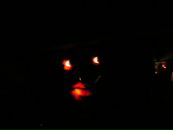 Леха Пушкин фотография #6 (источник - https://vk.com/id74902624)