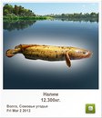 Славік Зайцев фотография #24 (источник - https://vk.com/id97164544)