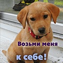 Андрій Кривого фотография #23 (источник - https://vk.com/id152383943)