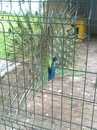Нінуля Лютак фотография #2 (источник - https://vk.com/id140858582)