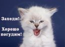 Іра Мамчур фотография #5 (источник - https://vk.com/id54693391)