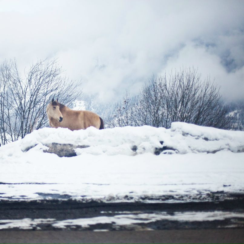 Денис Иллай фотография #26