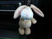 Фотография Соколова Нелли