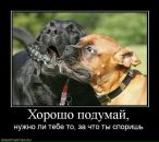 Пєтька Мазярчук фотография #31 (источник - https://vk.com/id67597186)
