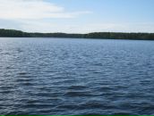 Фотография Дмитриевой Ирины